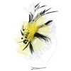 black-yellow-white